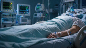 About Organ Transplantation and Brain Death
